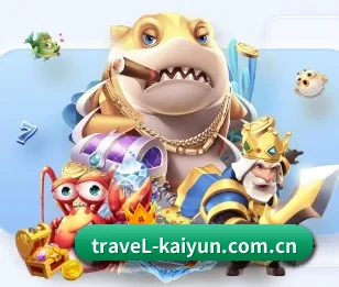 开云的故事 - 体育资讯内容服务 - Kaiyun